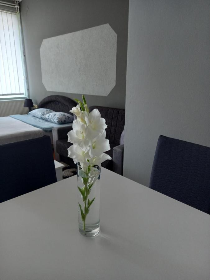 Višegrad Apartmani Lazaro מראה חיצוני תמונה